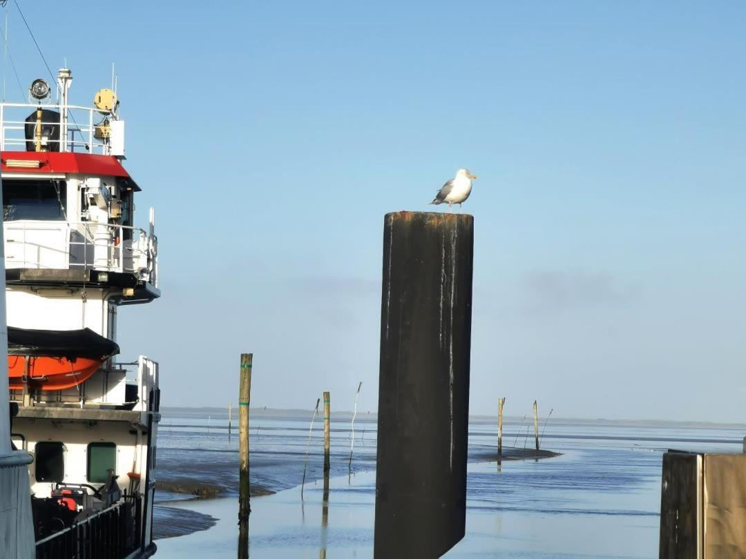 Schicke Ferienwohnung Julia An Der Nordsee Lutetsburg Exteriör bild